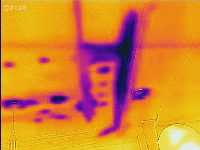 Leak detection camera inspection