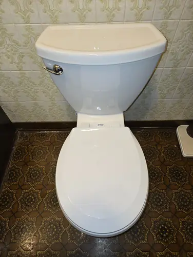 New American Standard toilet installed clean — Maple